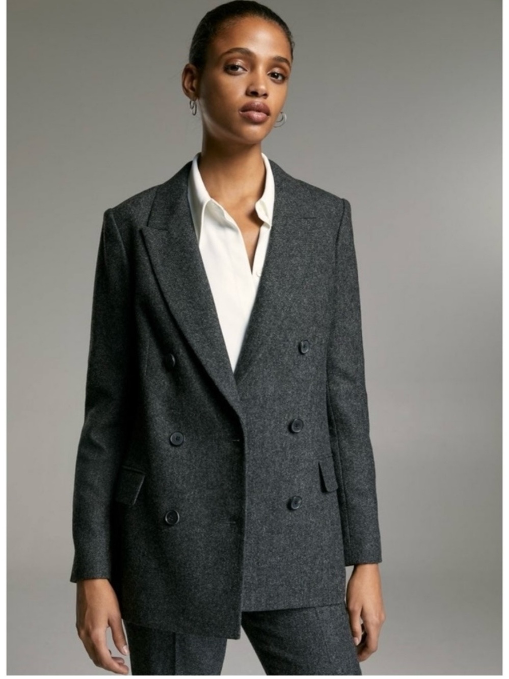 Aritzia Babaton Samuel Wool Blazer